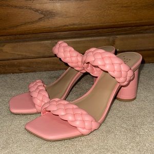 A New Day - Basil Heels